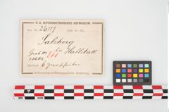 Etikett zu Bronzehelmbesatzscheibe (NHMW-PRAE-026117)